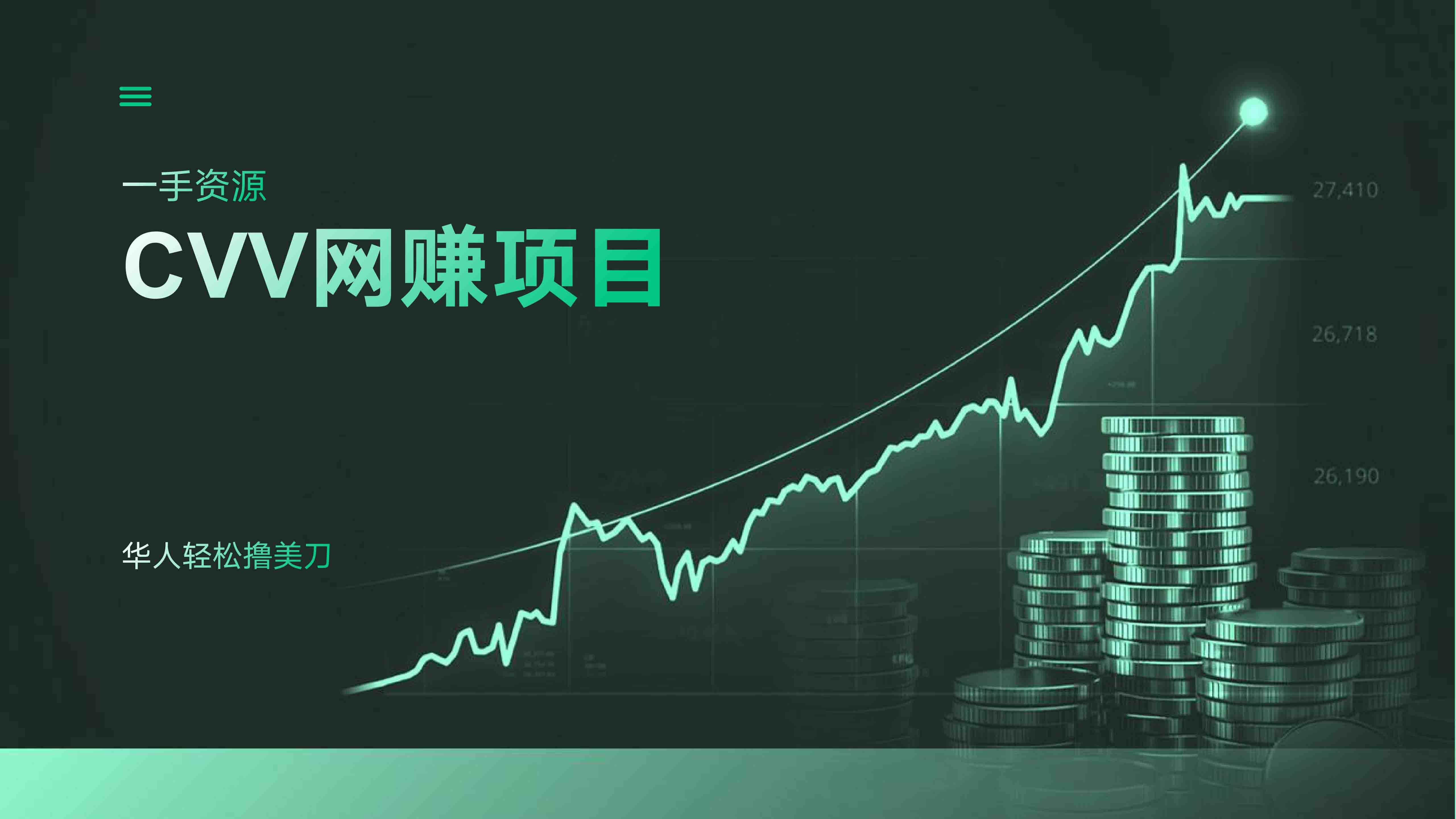 Professional Financial Analyst